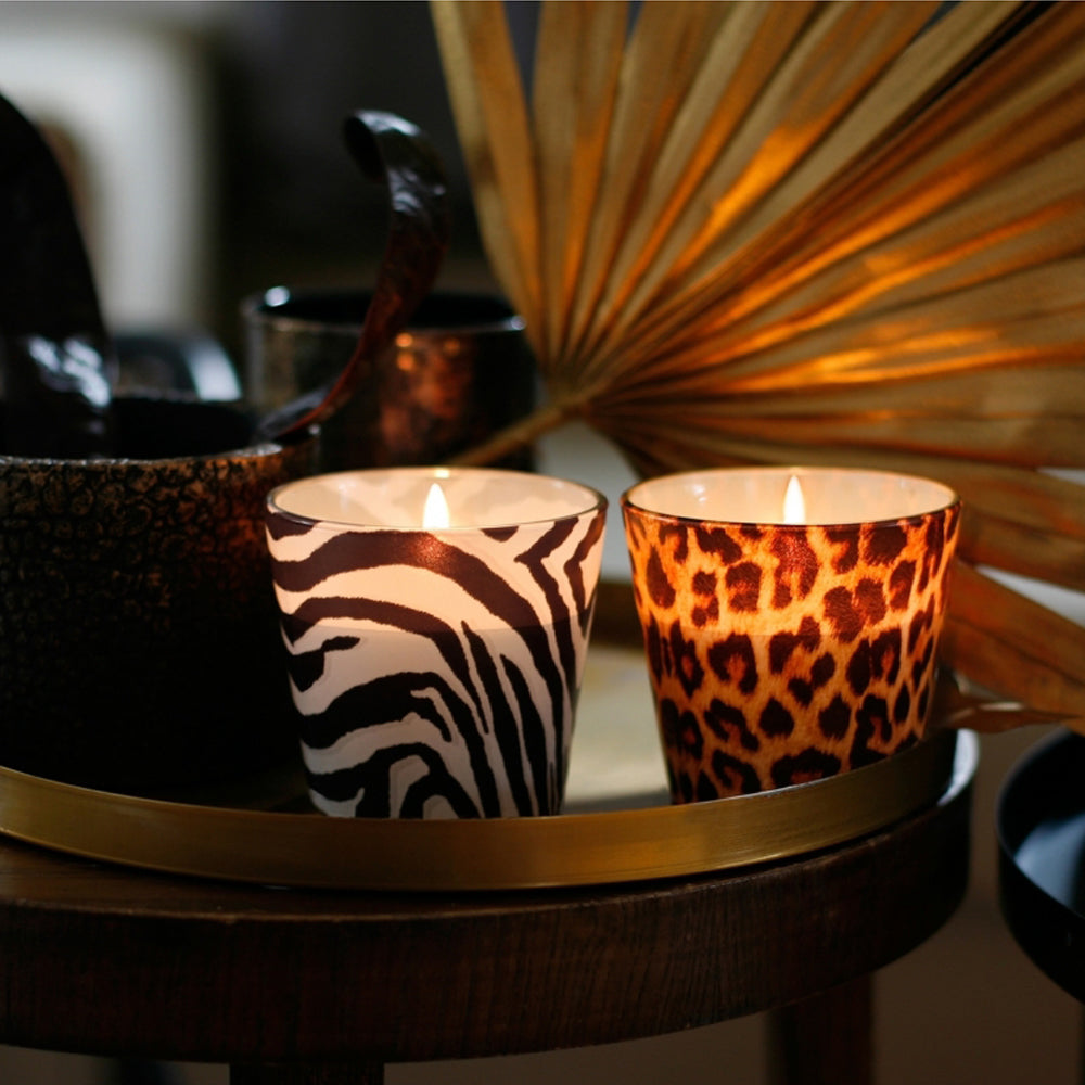 Vela Copo Aromático African Wild Oasis 30h