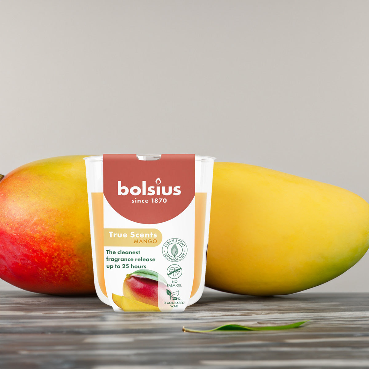 Vela Copo Aromático 80x73mm Manga 25h