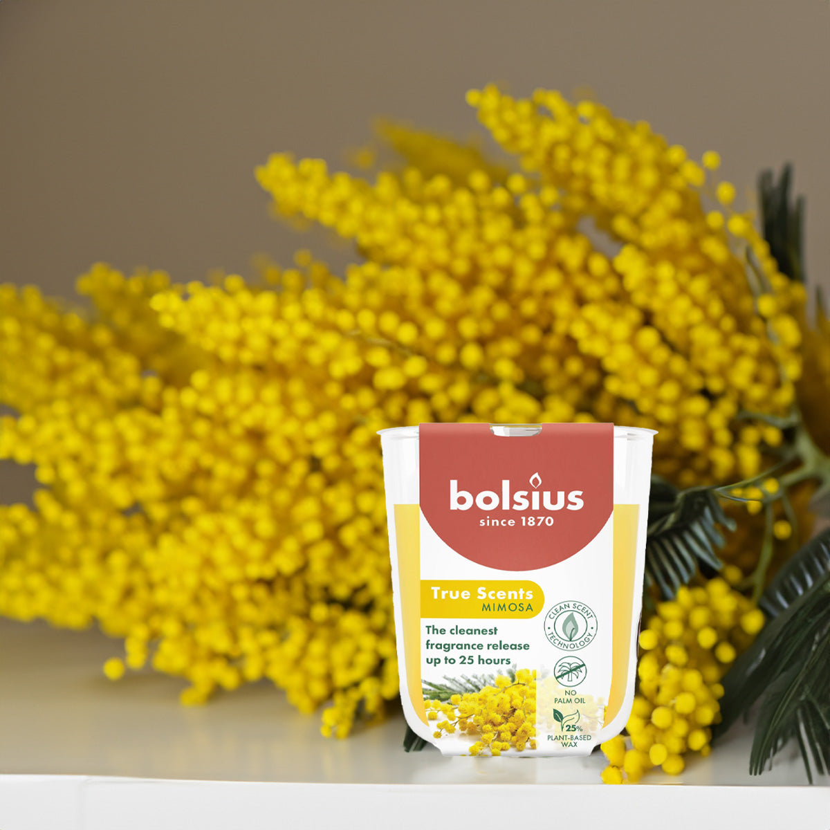 Vela Copo Aromático 80x73mm Mimosa 25h