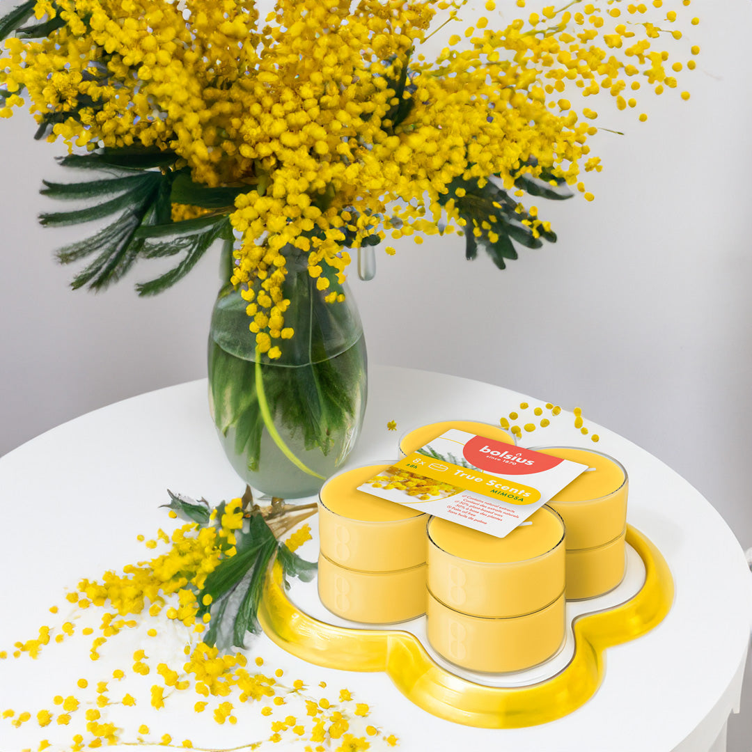 Vela Maxi Tealight Aromático Pack.8 Mimosa 8h