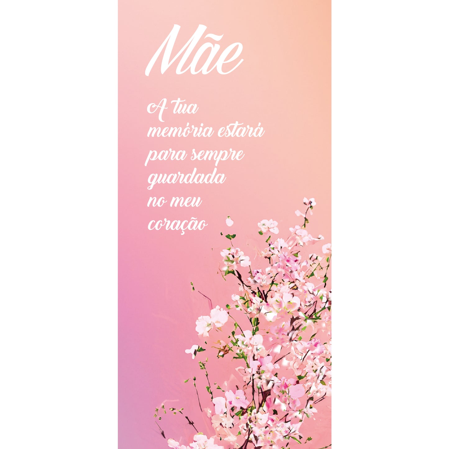 Etiqueta Motivo 6 Pack.10