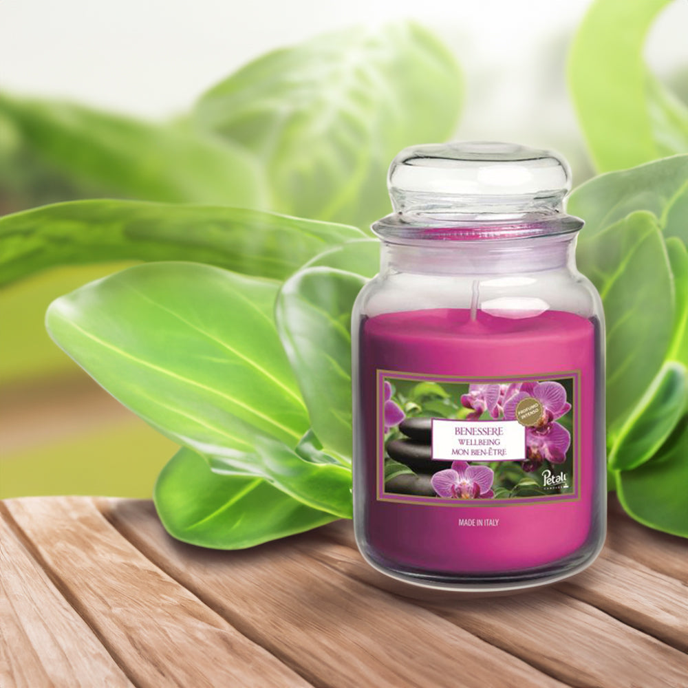 Vela Frasco Aromático Bem Estar 100h