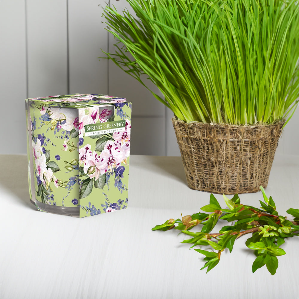 Vela Copo Aromático Primavera Verde 22h