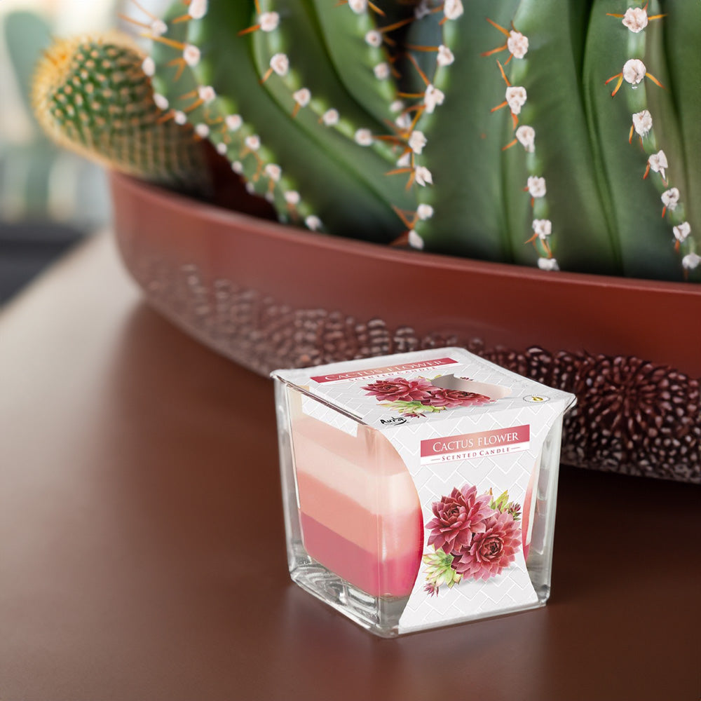 Vela Copo Aromático Flor de Cacto 32h