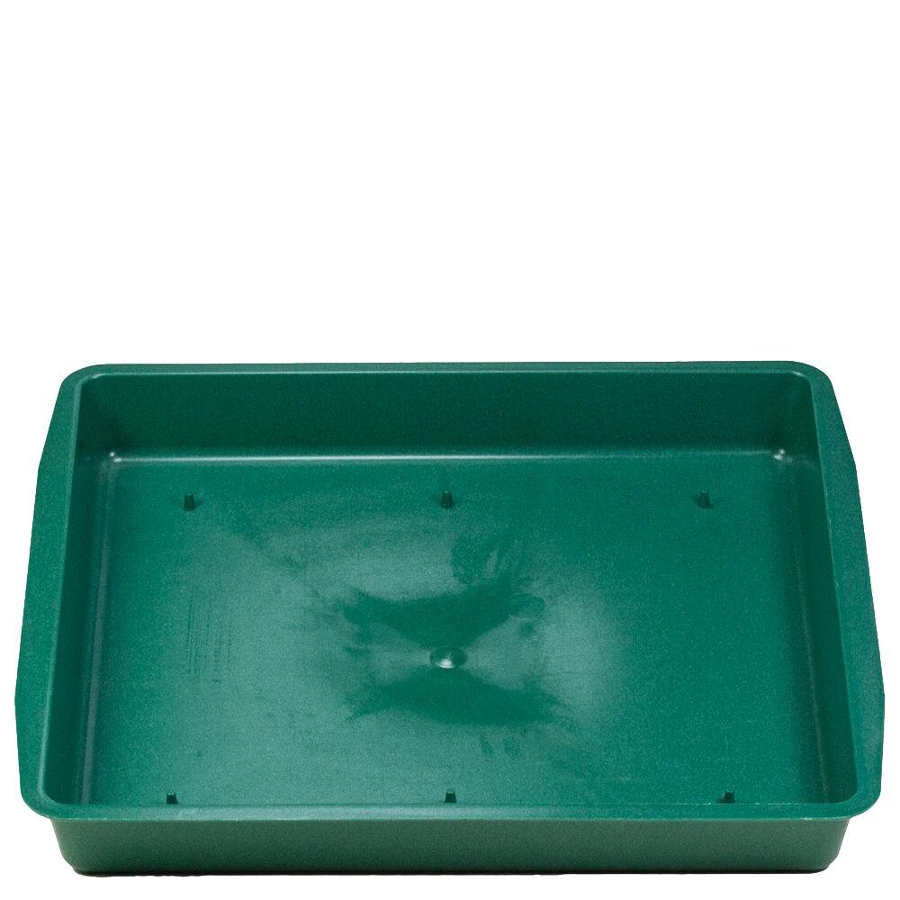 Tabuleiro Quadrado 2 Esponja