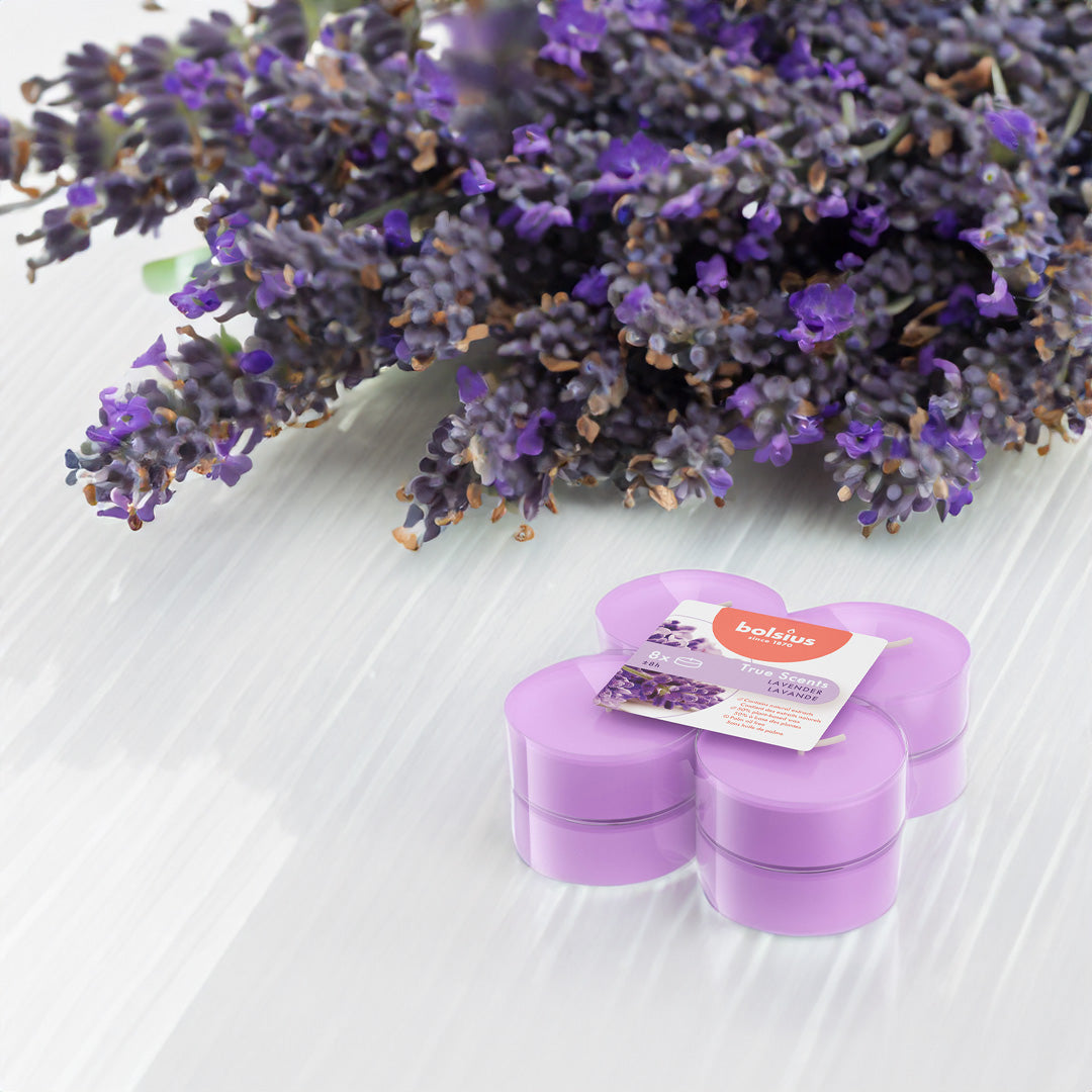 Vela Maxi Tealight Aromático Pack.8 Lavanda 8h