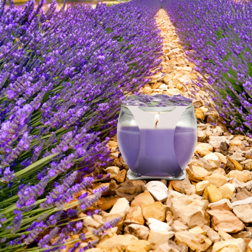 Vela Copo Aromático ALB Lavanda 30 h